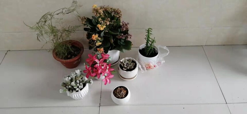 1615621736580499.jpg 微信图片_20210311163544.jpg