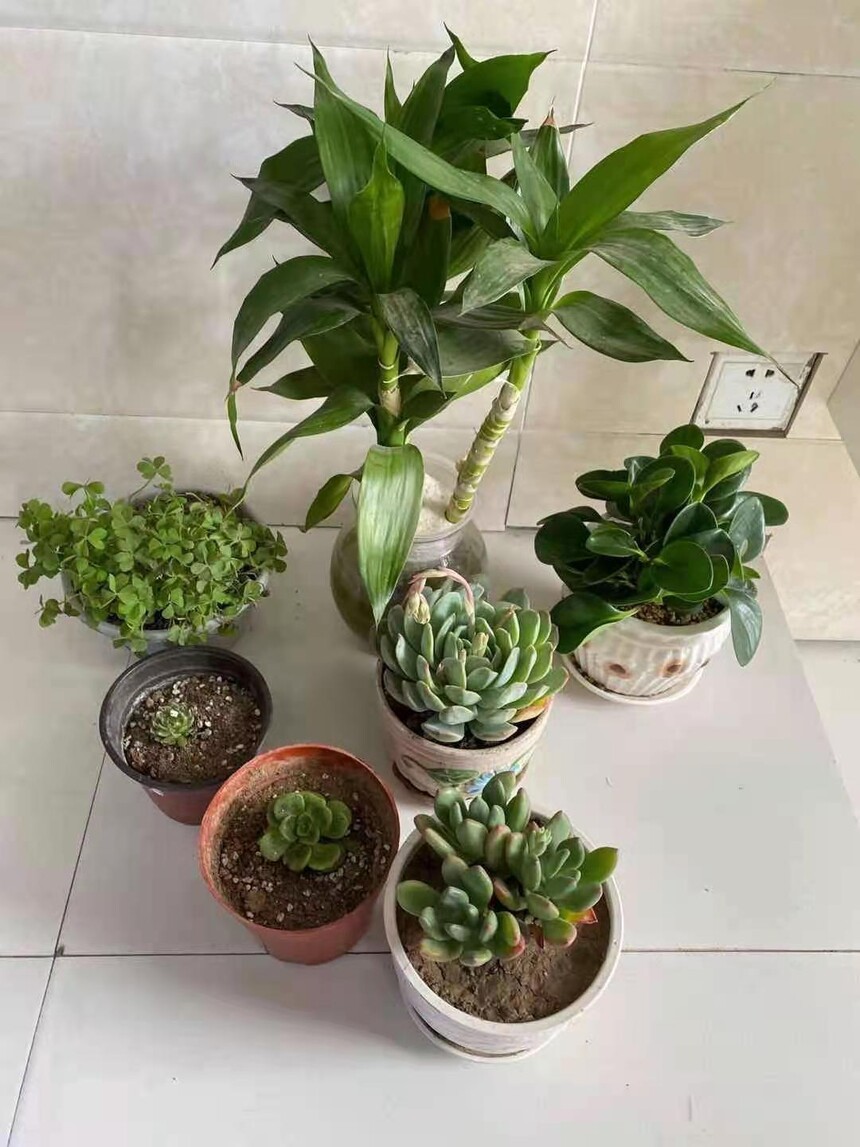 1615621752923914.jpg 微信图片_202103111635441.jpg