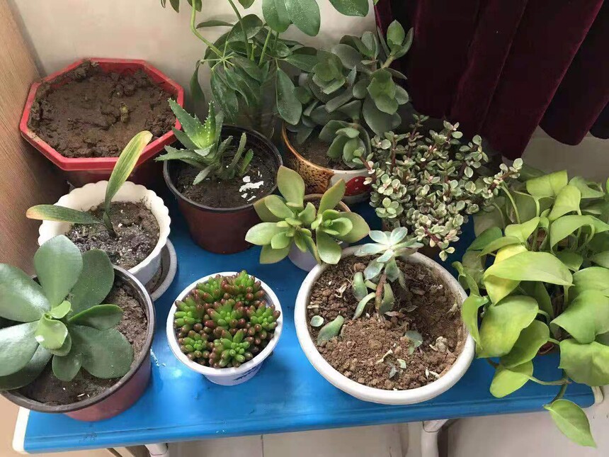 1615621760352576.jpg 微信图片_202103111635443.jpg