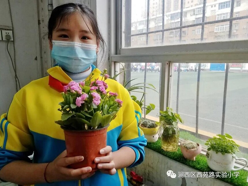 1615877612622280.jpg 2.jpg