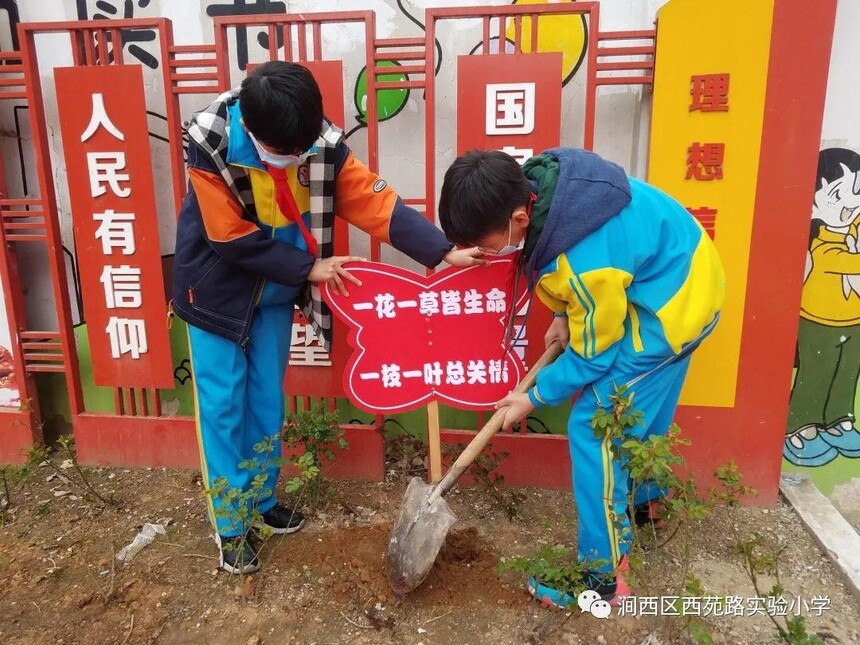 1615877624234802.jpg 3.jpg