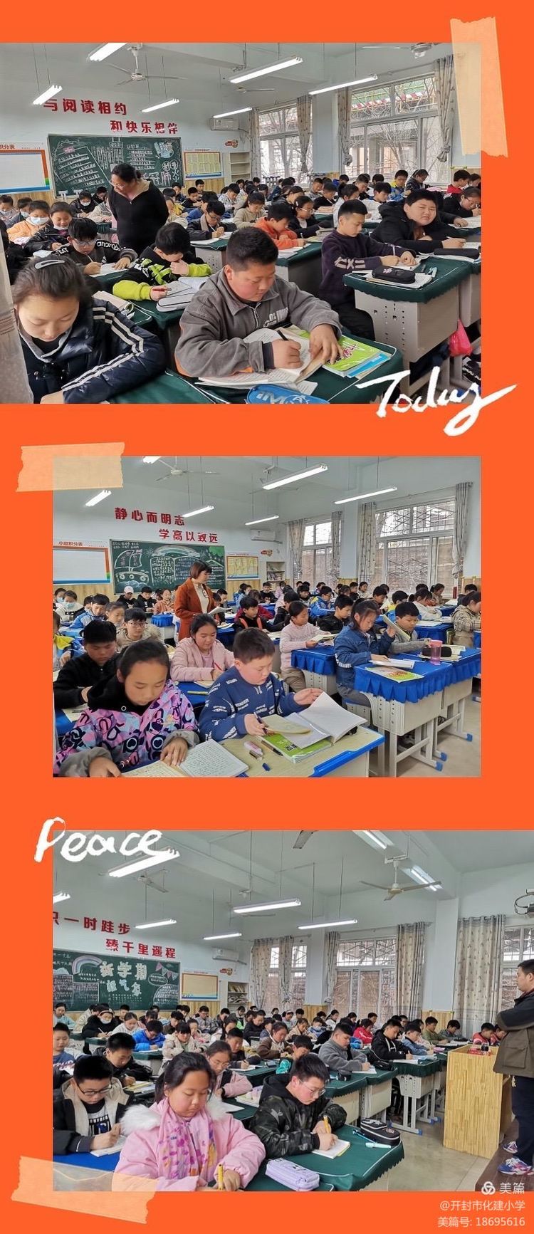 1616120014803175.jpg 1.jpg