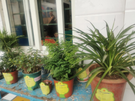 ��ֲ�����&nbsp;&nbsp;&nbsp;&nbsp; ѧϰ������(1)212.png