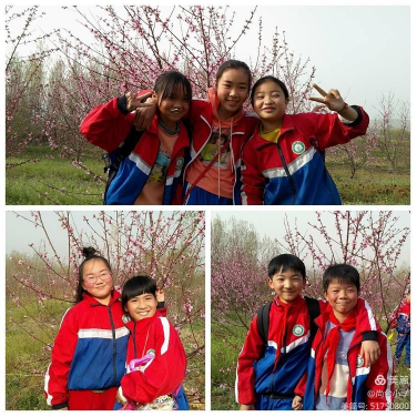 1617763714494947.png 11122.png