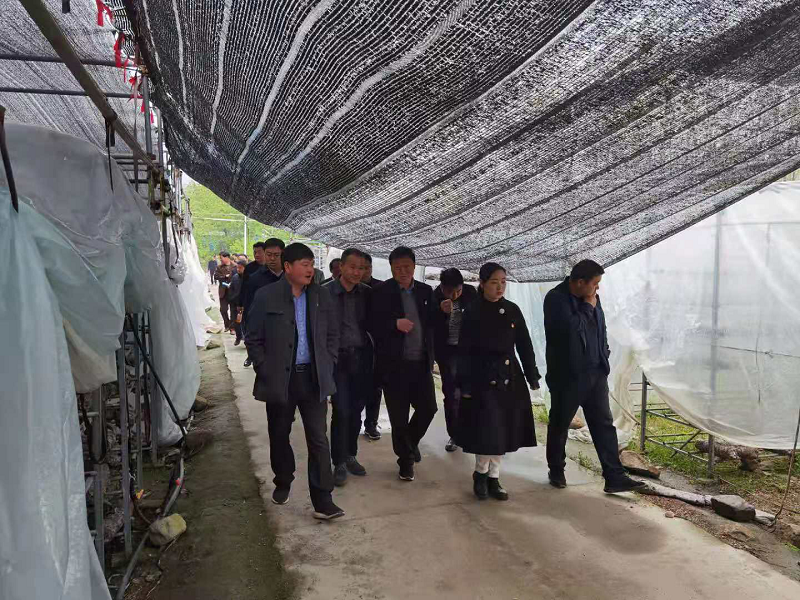 1617878924191056.png 图片4.png