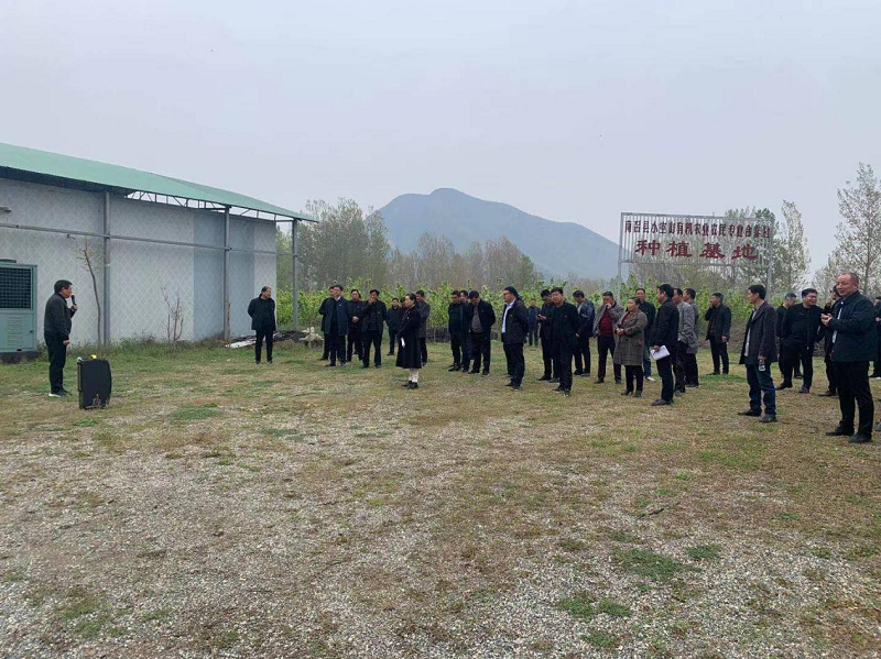 1617879048299528.png 图片7.png