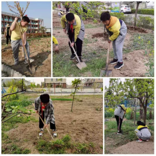 1618465587756941.png 校园好,风景将换颜(1)194.png