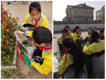 1618465601661241.png 校园好,风景将换颜(1)228.png