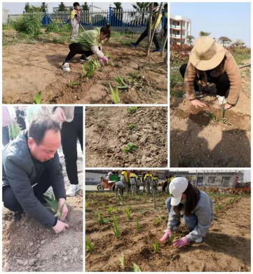 1618465611469066.png 校园好,风景将换颜(1)306.png