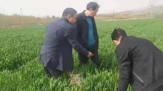 1618700258395783.jpg 微信图片_20210418065721.jpg