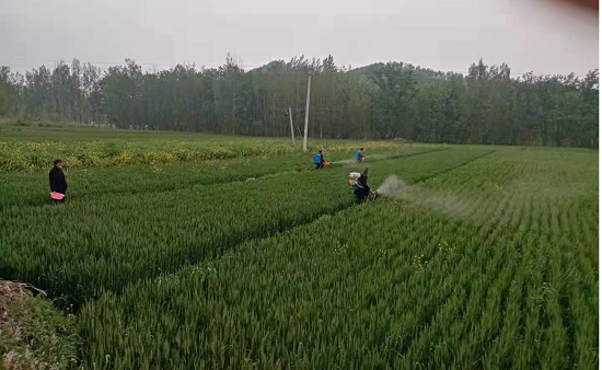 1618700321873928.png 图片3.png