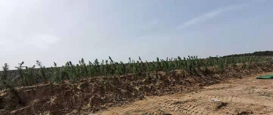 1618821275147351.jpg 微信图片_20210419155735.jpg