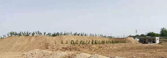 1618821803736287.jpg 微信图片_20210419160750.jpg