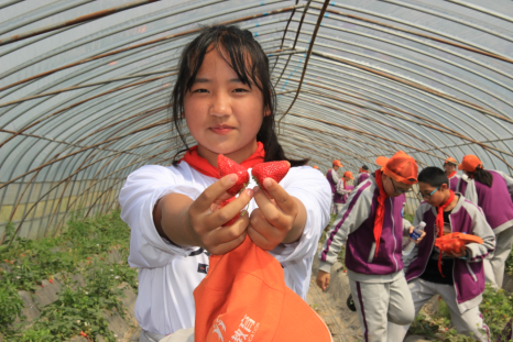 ��ѧ���дٳɳ� ��ʷѧϰ������·��1603.png