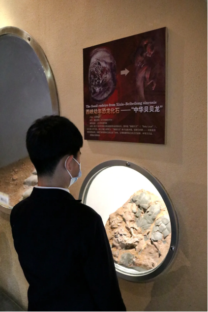 1619684561375338.png 201167.png