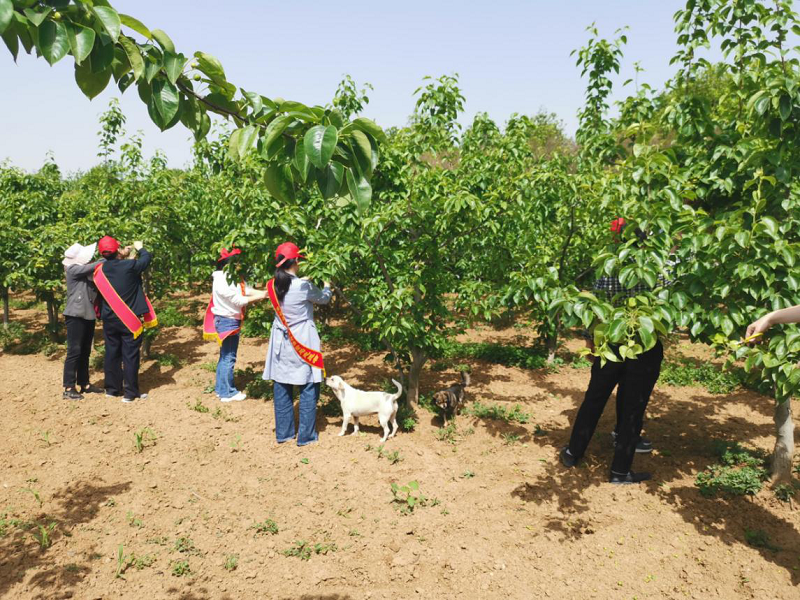 1620289238866225.png 图片3.png