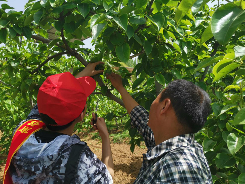 1620289279590294.png 图片4.png