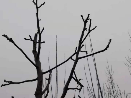 1621405847327229.png 7548057c117337509111eebdc93c9c92_116dbedd7737a49792df2484cb8475bf_8206.png