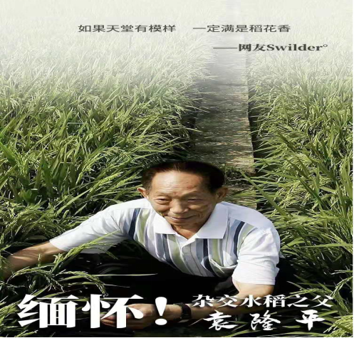 �廳Ԭ¡ƽ  ������ʳ��ȫ(1)174.png