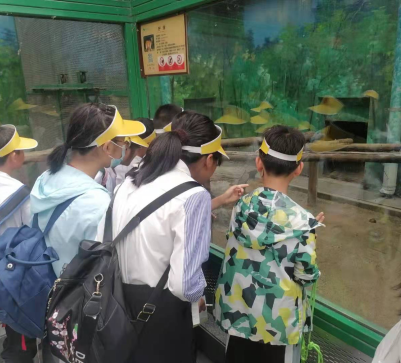 ������� Ҳ������·354.png