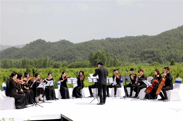 1622286204982466.png 图片2.png