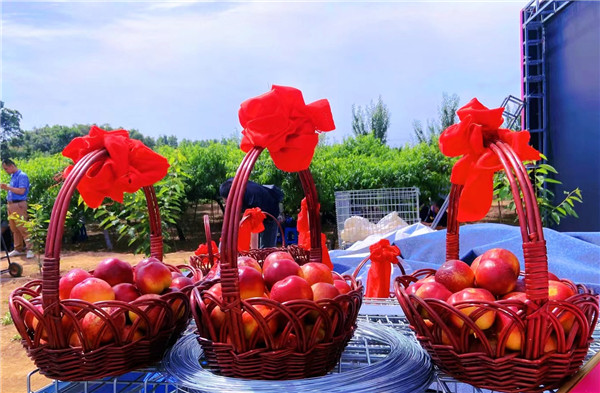 1622286244991122.png 图片3.png