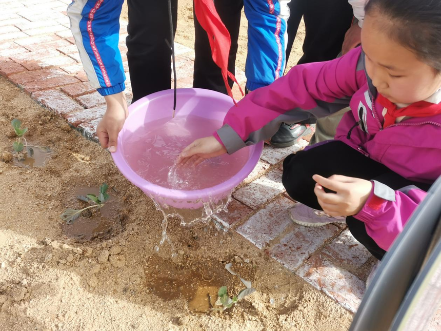 1622621723236848.png 图片8.png