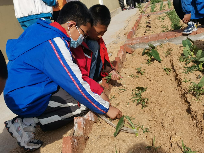 1622621749382878.png 图片9.png