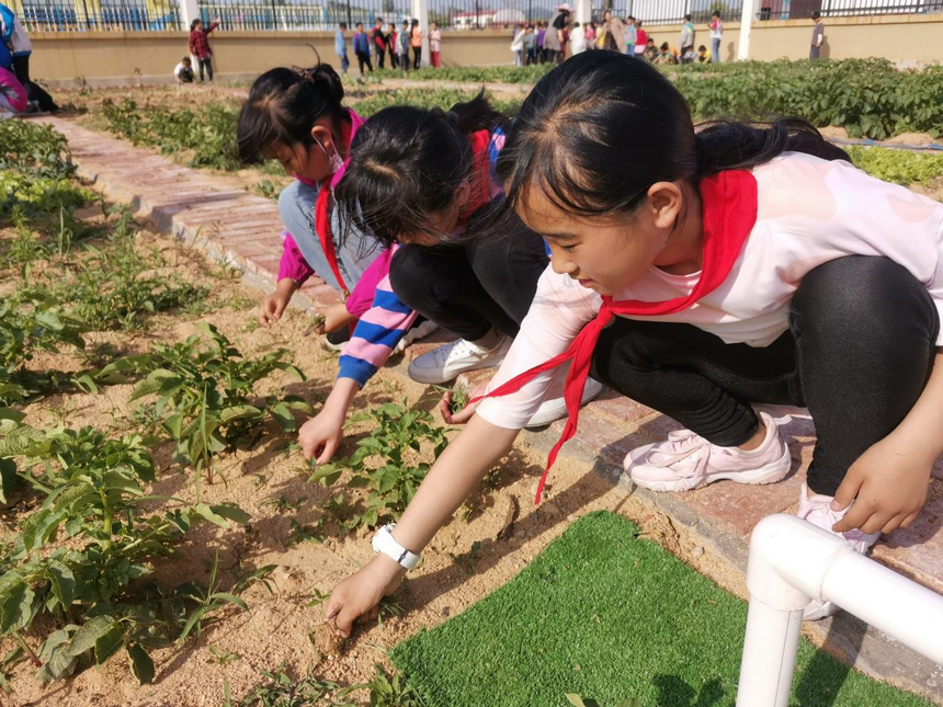 1622621781975204.png 图片10.png