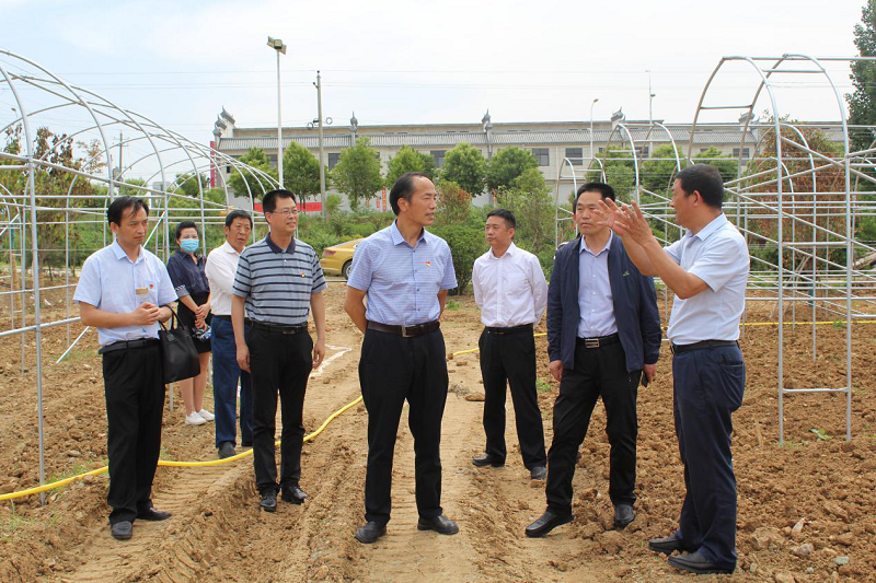 1622701019800822.png 图片1.png