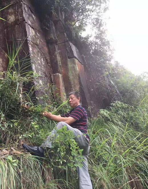 1624070300845875.png 图片7.png