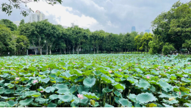 1624845745760085.png 宜阳县张坞镇元过小学  宋海洋(4)(1)526.png