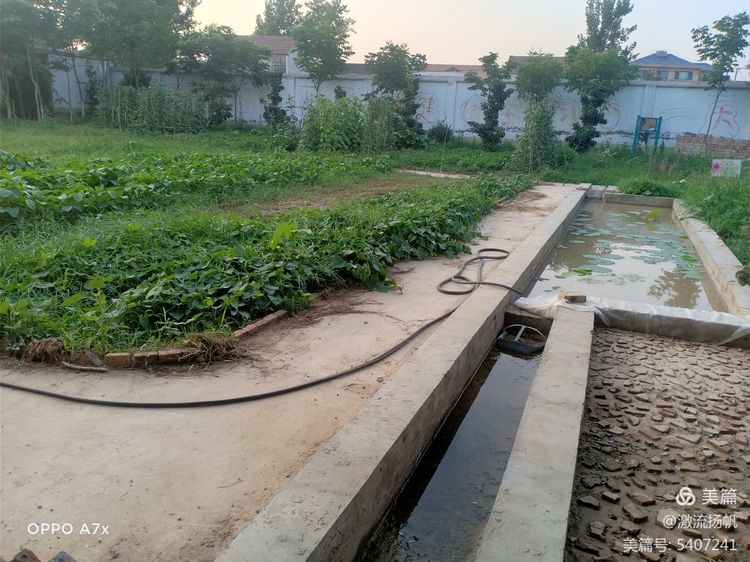 1625793442448263.jpg 1.jpg