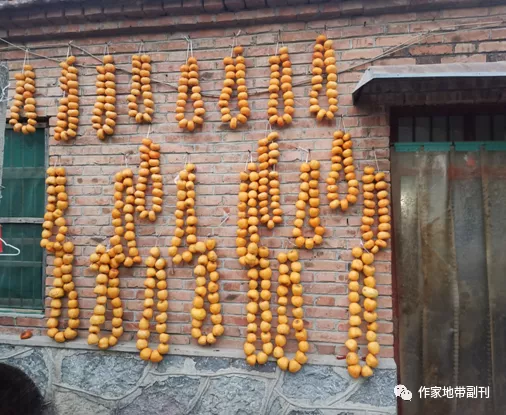 1626144057214841.png 父母的庭院(1)1755.png