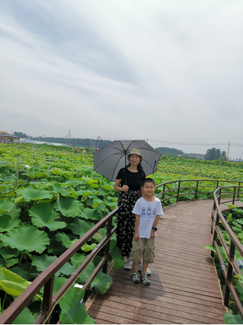 1627263134432235.png 周末一天的小旅行371.png