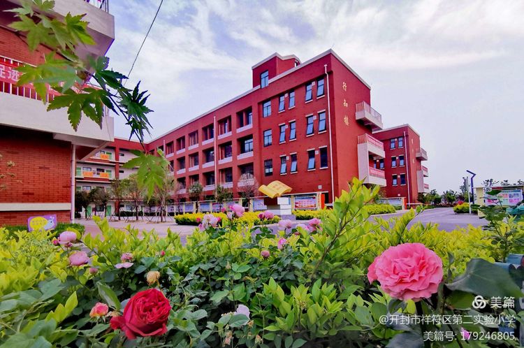 1628039968209963.jpg 1.jpg