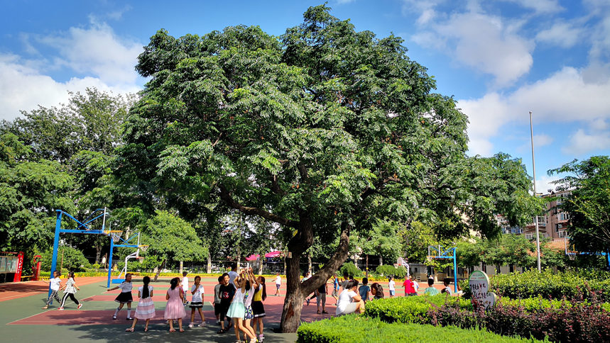 1629272068848401.png 图片1.png