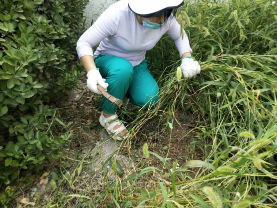 1630898969623515.png 2020年8月28忙里忙外392.png