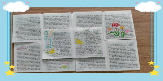 �����������ʵ��Сѧ������Ũ �ɳ��������������ʵ��Сѧ����ʼǼ������ĵ�չʾ���ʵ(1)(1)253.png