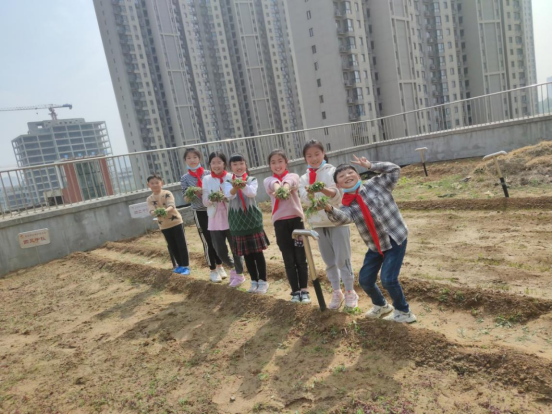 1635472259365451.png 莲花街小学+陈静+采摘秋日硕果 体验劳动之美 ——高新区莲花街小学劳动课程秋日采摘活动纪实384.png