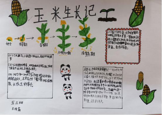 1635472293754204.png 莲花街小学+陈静+采摘秋日硕果 体验劳动之美 ——高新区莲花街小学劳动课程秋日采摘活动纪实977.png