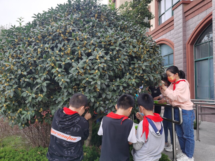 1635822928110535.jpg 4-2.jpg