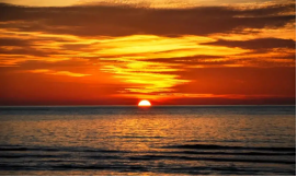 1638434394448492.png 宜阳县张坞镇元过小学宋海洋(1)707.png