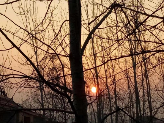 1640659746693482.png 2114.png