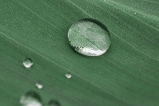 1640659898688079.png 3687.png