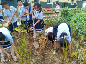 1646275046195669.png 不断努力成长自己(1)259.png