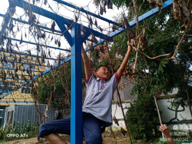 1646366380184215.png 坚定信念 奔向未来(1)542.png