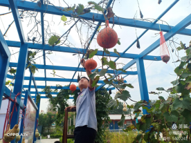 1646366395149071.png 坚定信念 奔向未来(1)905.png