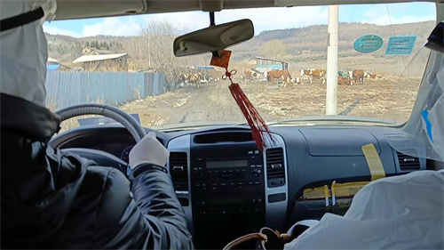 1647850156519698.jpg e135b37e6062983af61e394c899c784.jpg