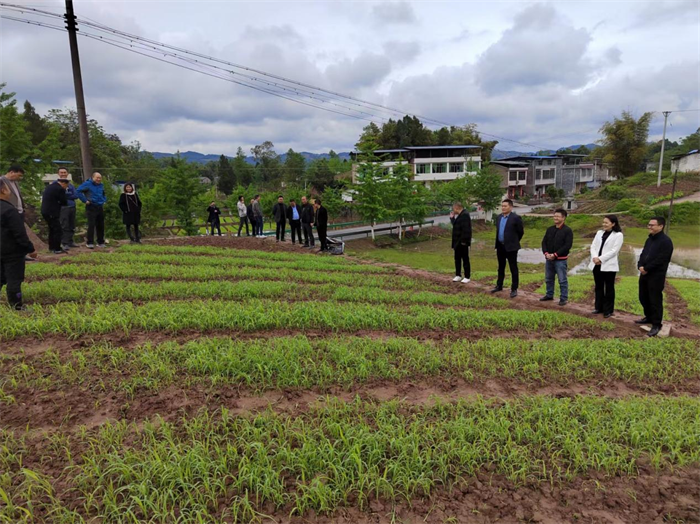 1650372859895190.png 图片3.png